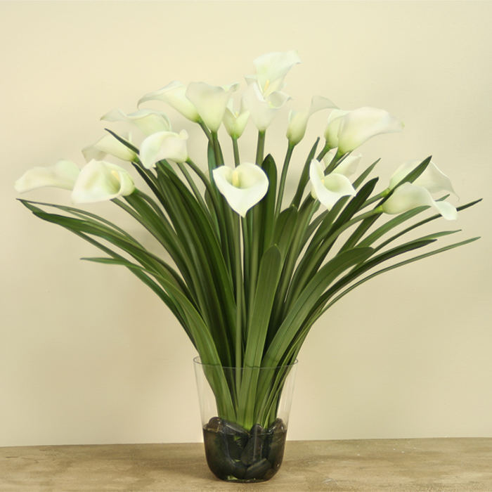 Waterlook ® Silk White Calla Lilies with Blades in a Tapering Glass