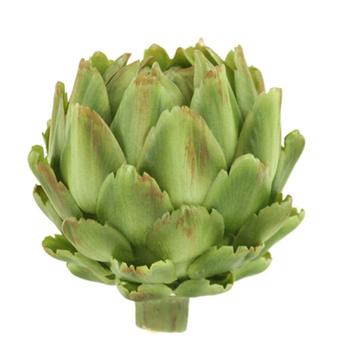 Artichoke Free Shipping in USA