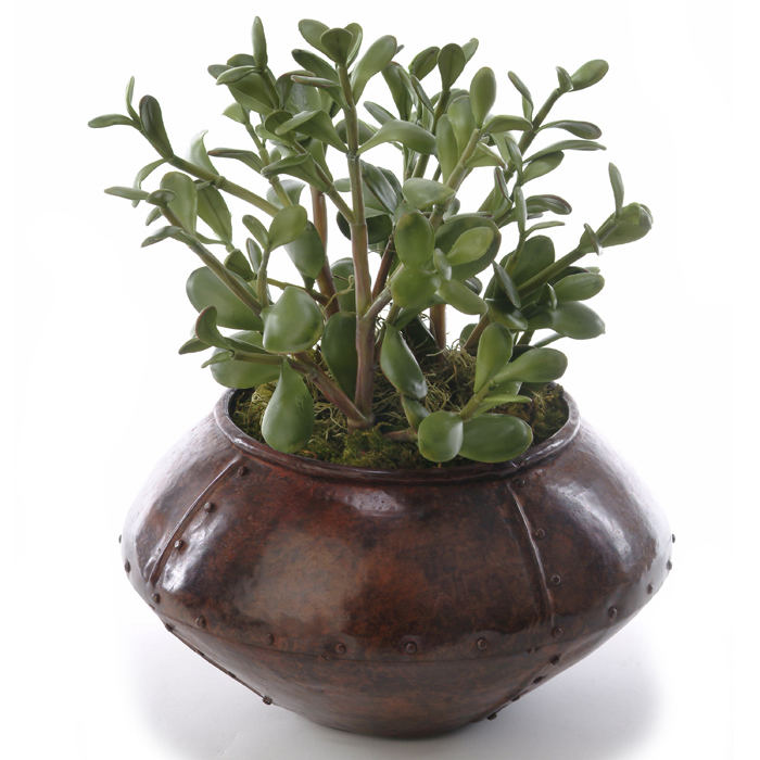 Silk Greenery Jade Plant in a Round Espresso Finish Riveted Metal