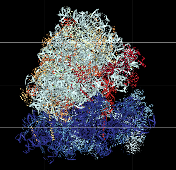 What stabilizes the quaternary protein structure? ECHEMI