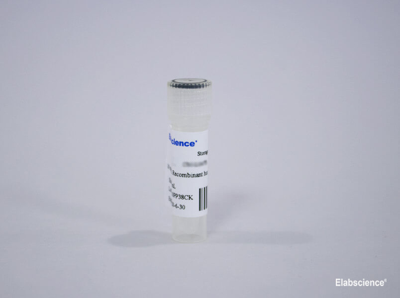 ReadytoUse 10 mg/mL Human Insulin Solution Designed to