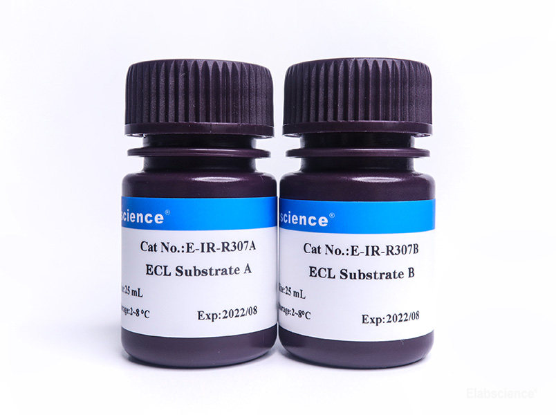Excellent Chemiluminescent Substrate (ECL)Detection Kit EIRR307