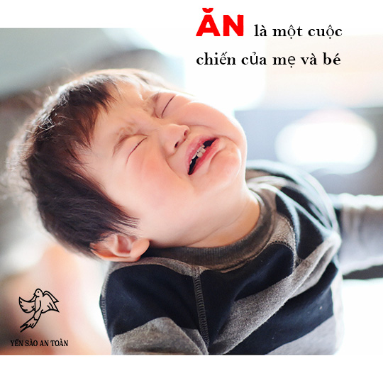 Tất cả bài viết tagged "cách phân biệt yến sào thật và yến sào giả