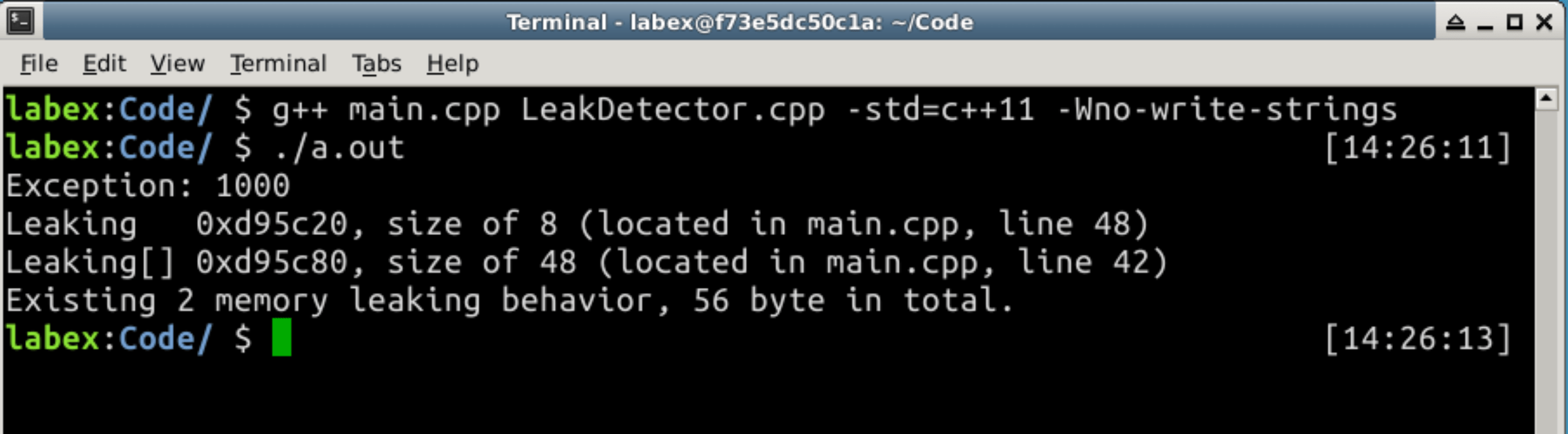 Implementing a Memory Leak Detector with C++ LabEx