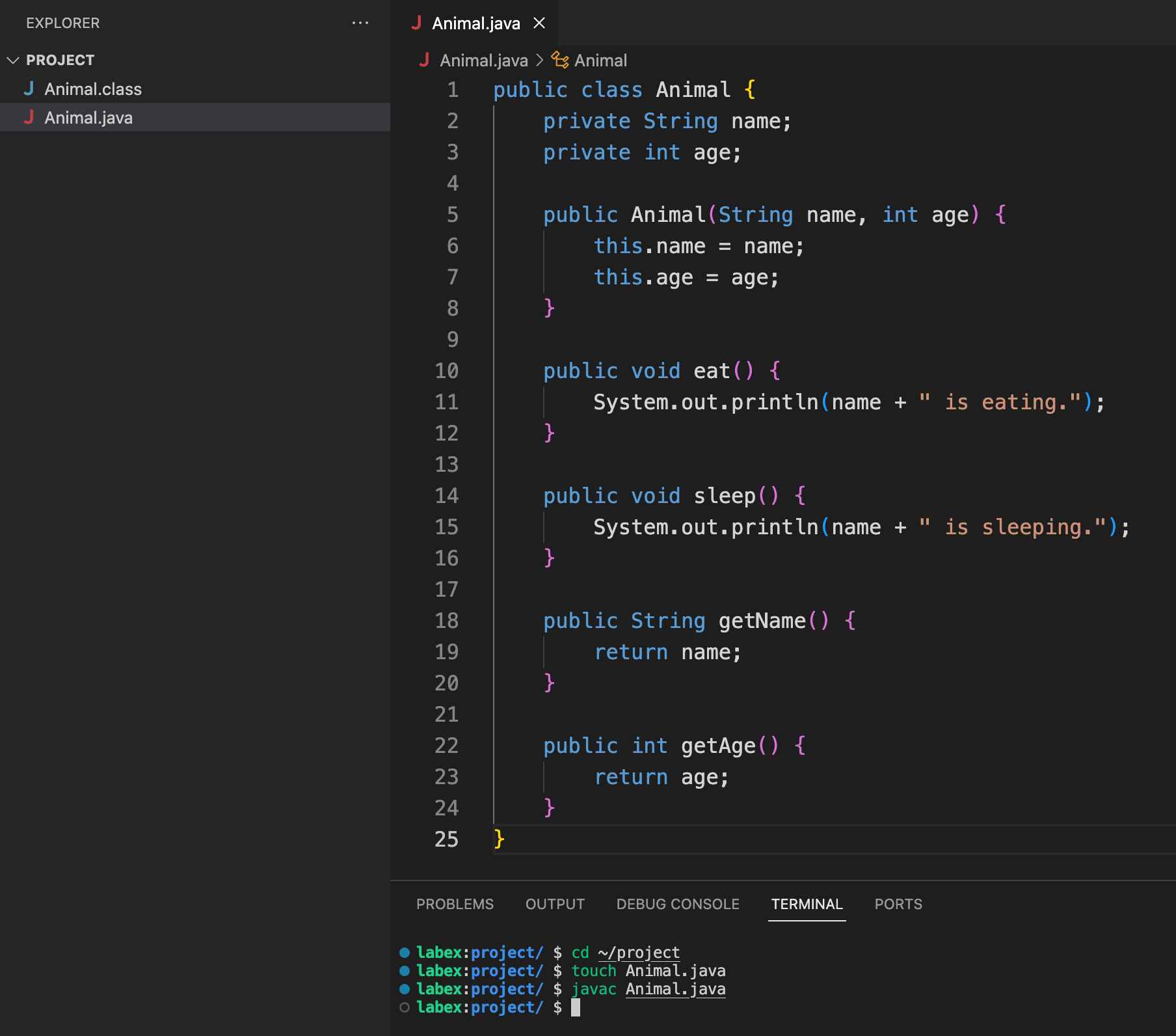 Java OOP Tutorial Inheritance and Polymorphism Lab LabEx