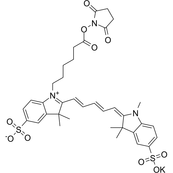 MeCY5NHS ester potassium (SulfoCyanine5 NHS ester potassium