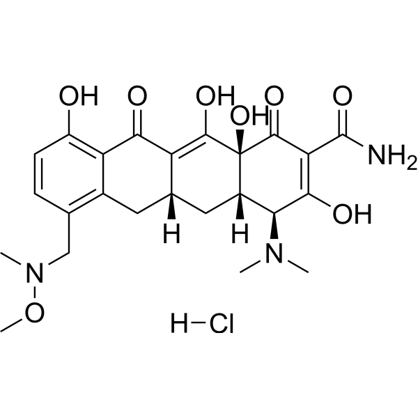 Sarecycline hydrochloride Antibiotic MedChemExpress