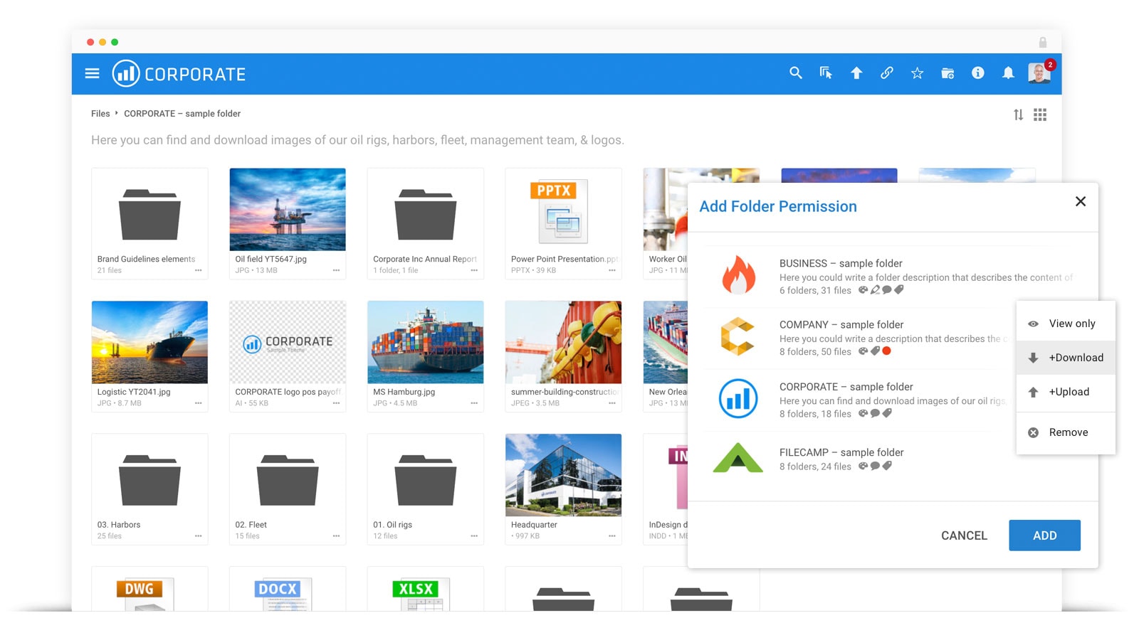 Compare digital asset management tools lasemgreen