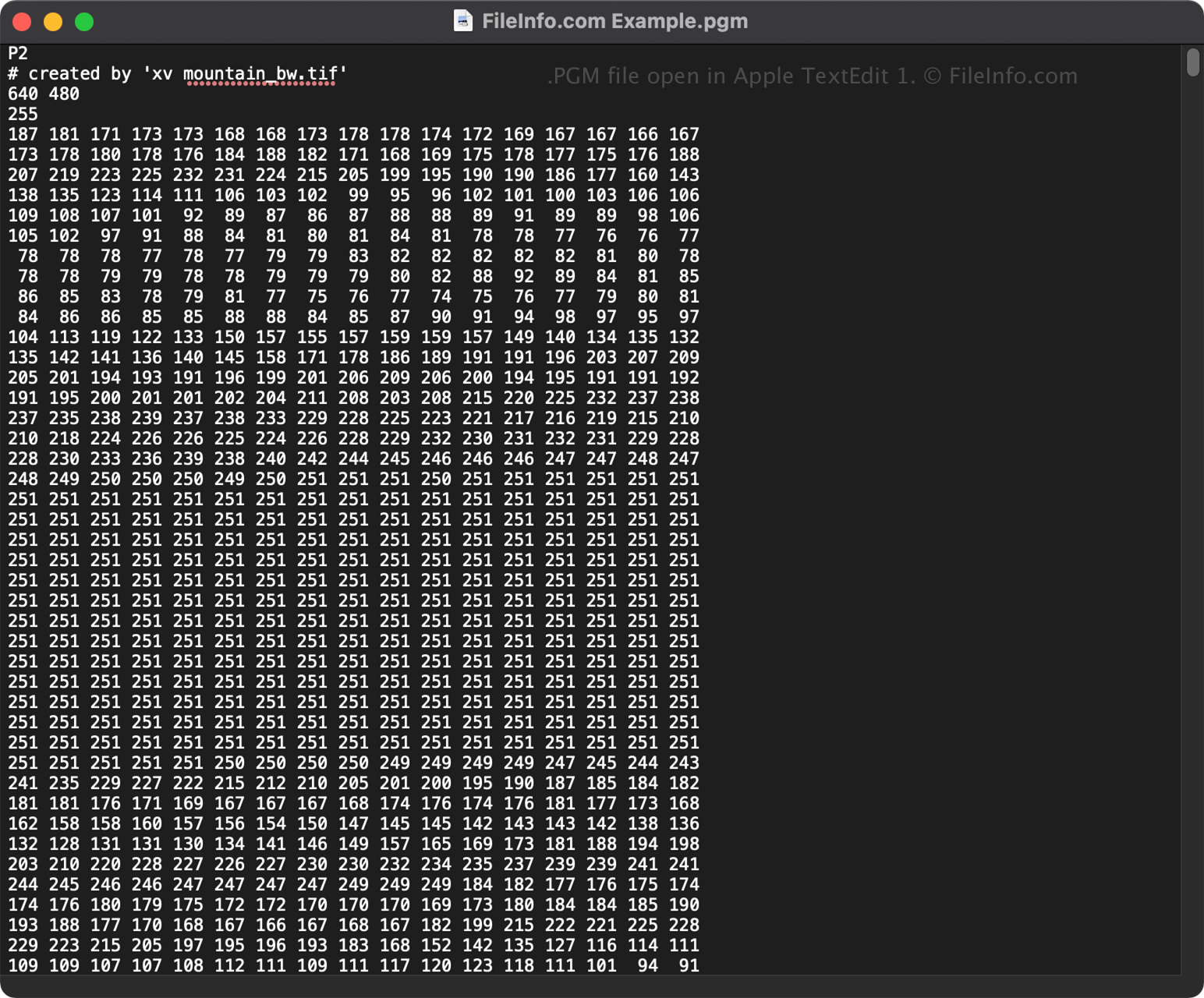 PGM File - What is a .pgm file and how do I open it?