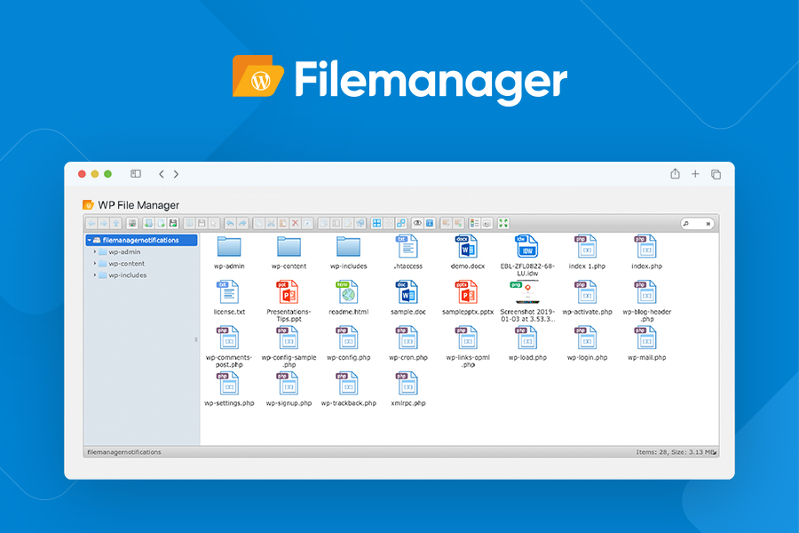 File Manager Features for Pro Users