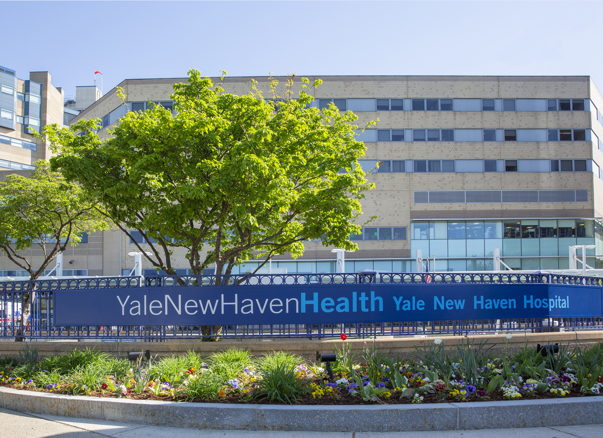 Internal Medicine Faculty Honored For Their Contributions to Quality