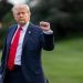 Меж двух Владимиров. Чем примечательны новые заявления Трампа о России и Украине?