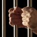 Уже 14 человек задержаны после массового отравления алгоголем в Ленобласти