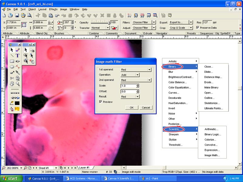 Canvas Scientific Imaging Edition 2018 Full Setup Free