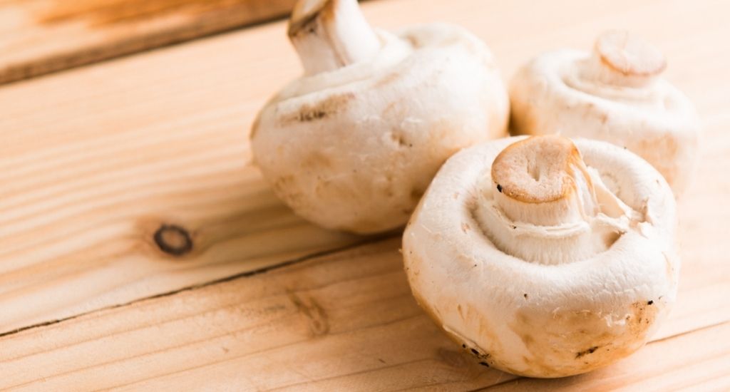 Champignon tem sabor e aspecto requintado e é apreciado no mundo todo