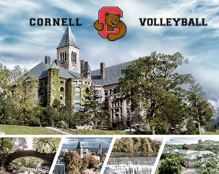 Cornell Volleyball Questionnaire