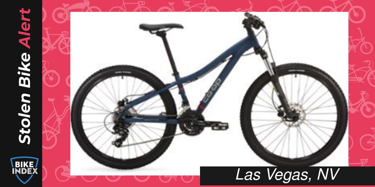 Stolen REI Coop DRT 1.0 Bi