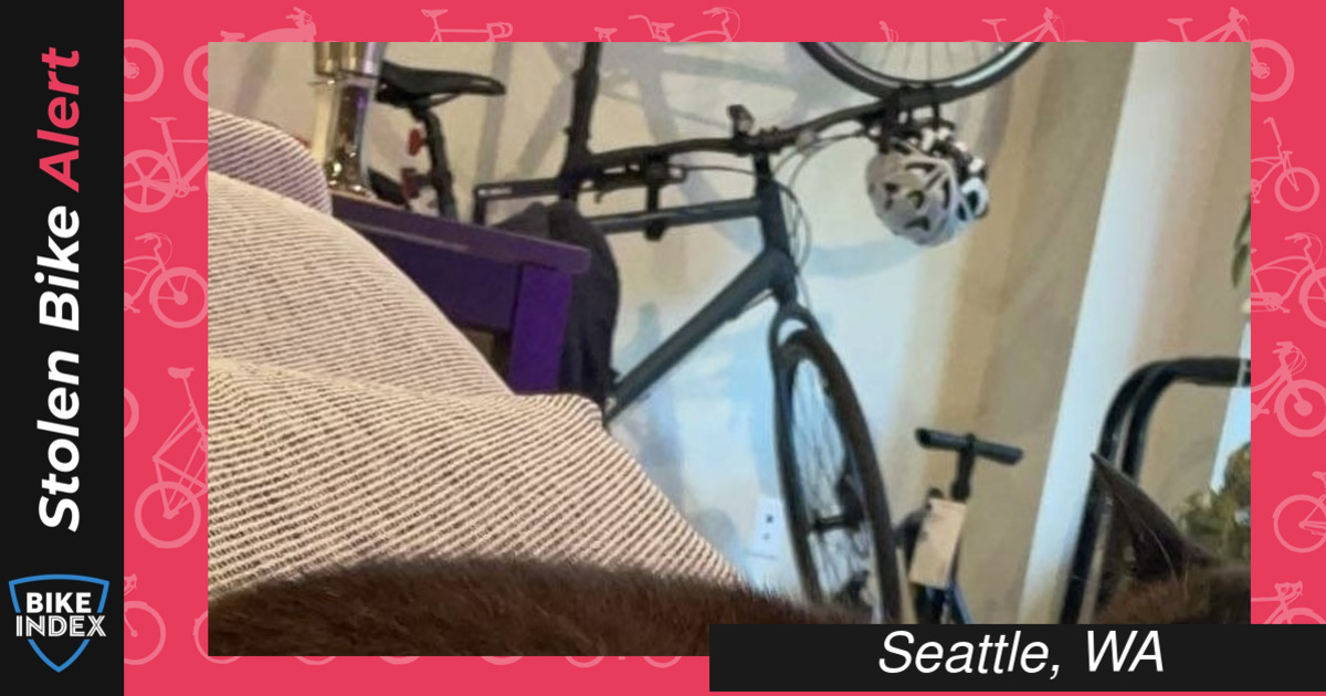 Stolen 2020 REI Coop Cycles CTY 1.1