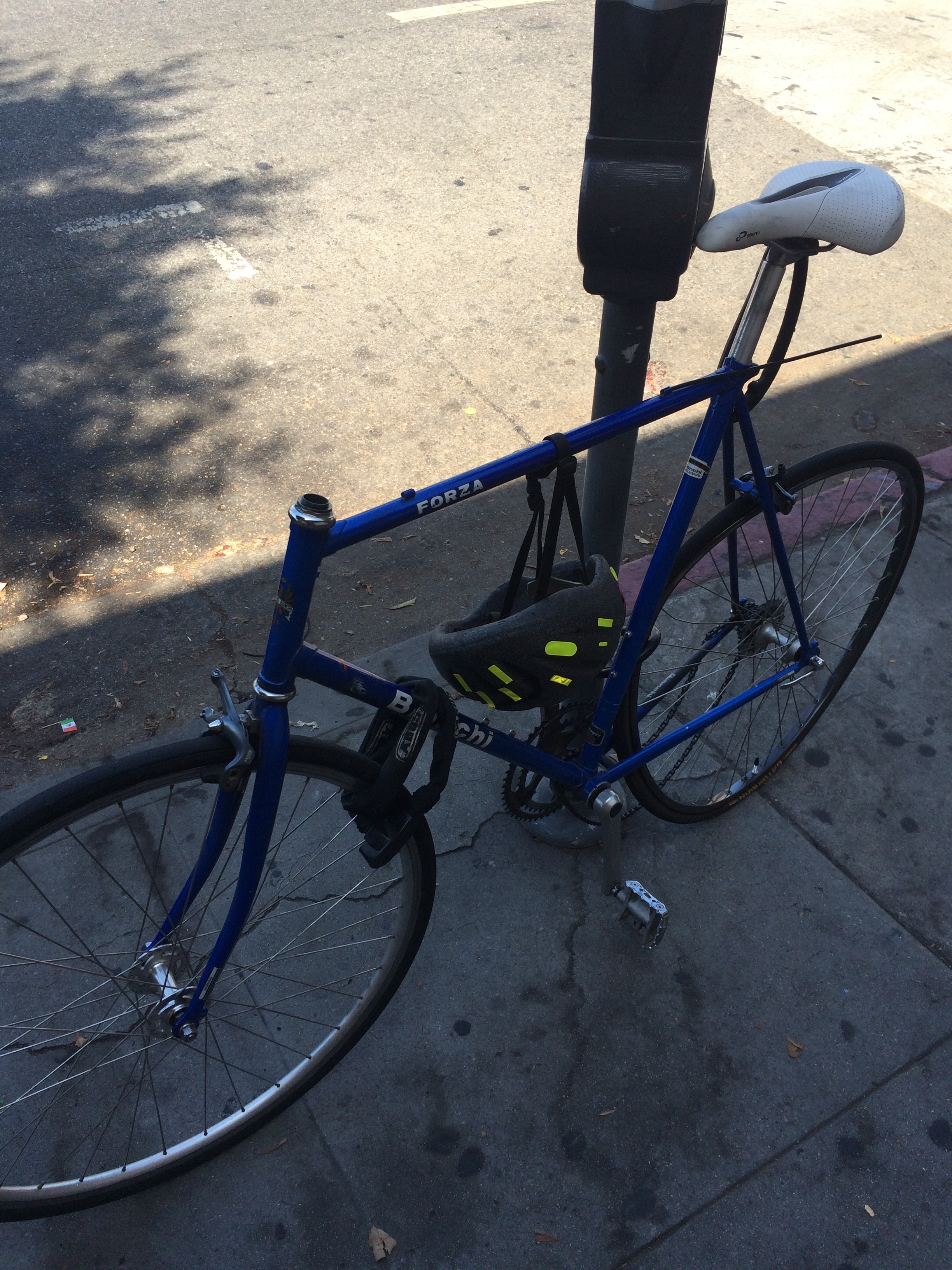 Stolen 1992 Bianchi Forza