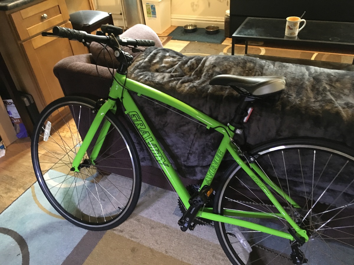 2018 Gravity Avenue FX