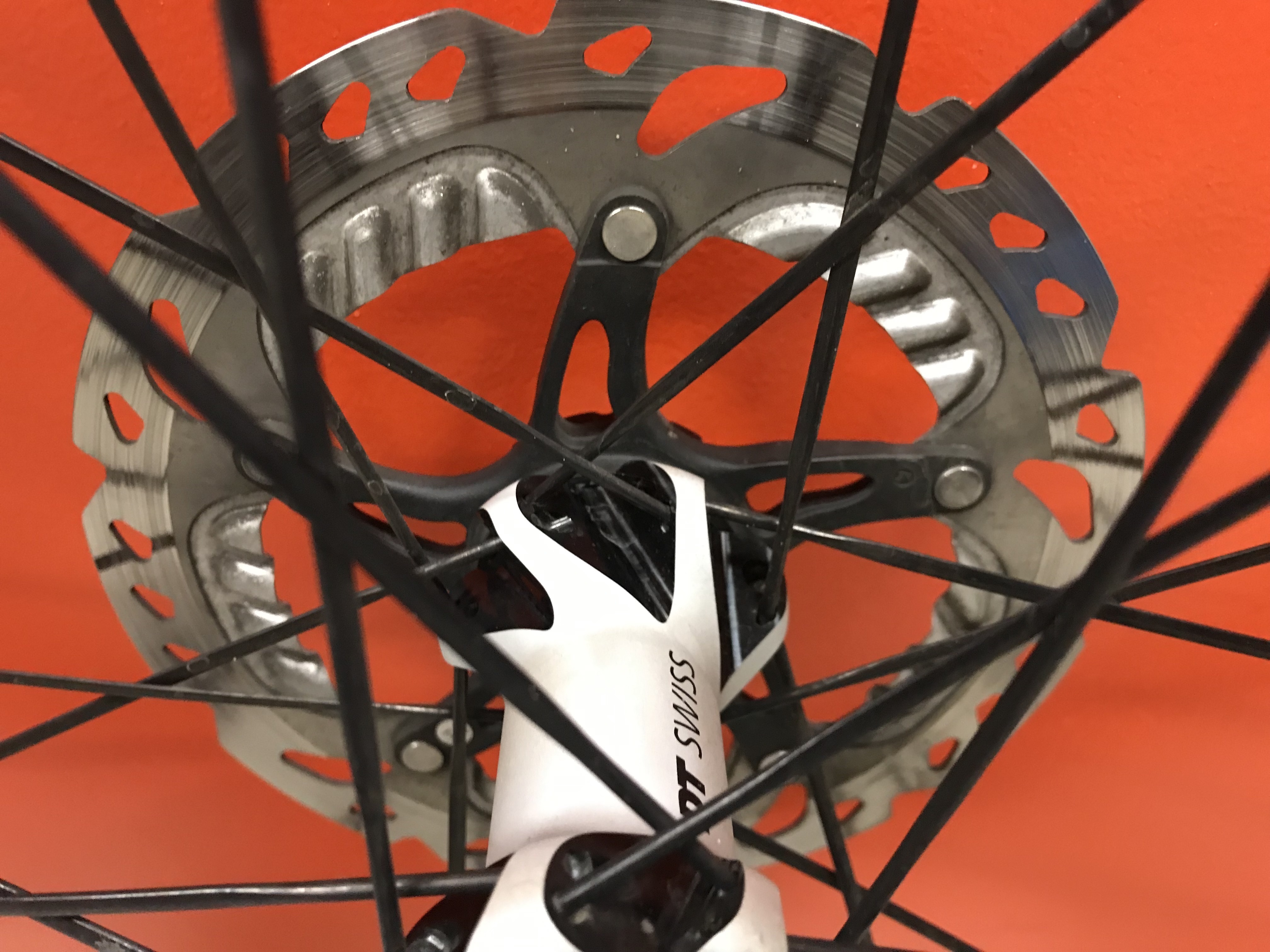 2016 Spot Denver Zephyr