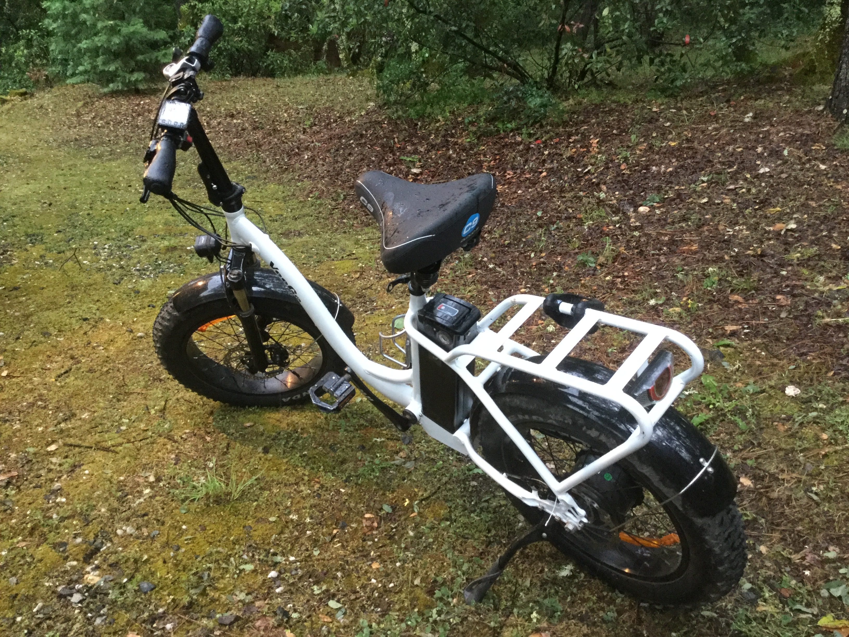 2019 RIDE SCOOZY ELECTRIC BICYCLES VeeGO 750 StepThrough