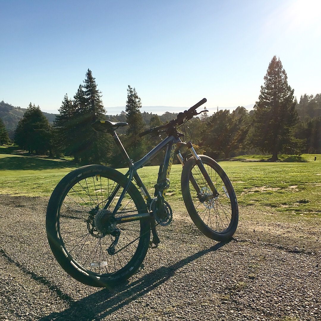 Stolen 2017 Diamondback