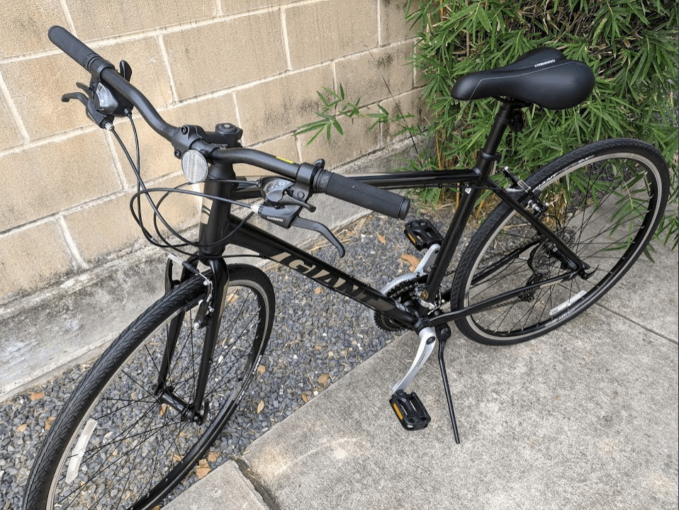 Stolen 2018 Giant Escape 3