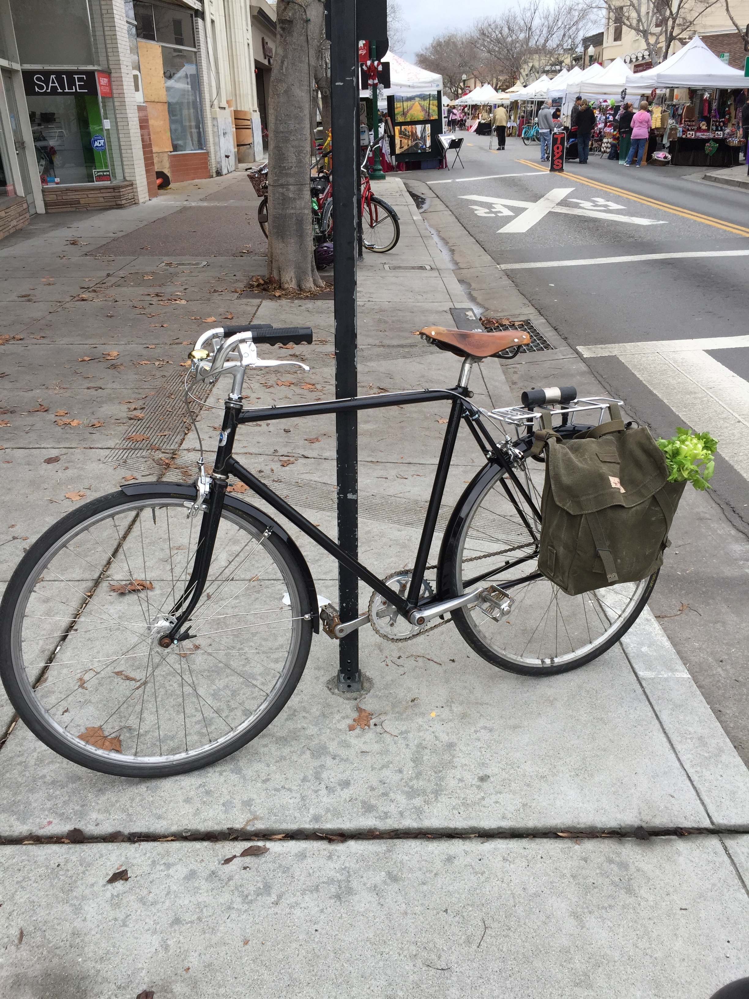 Stolen 1988 Panasonic Sport LX