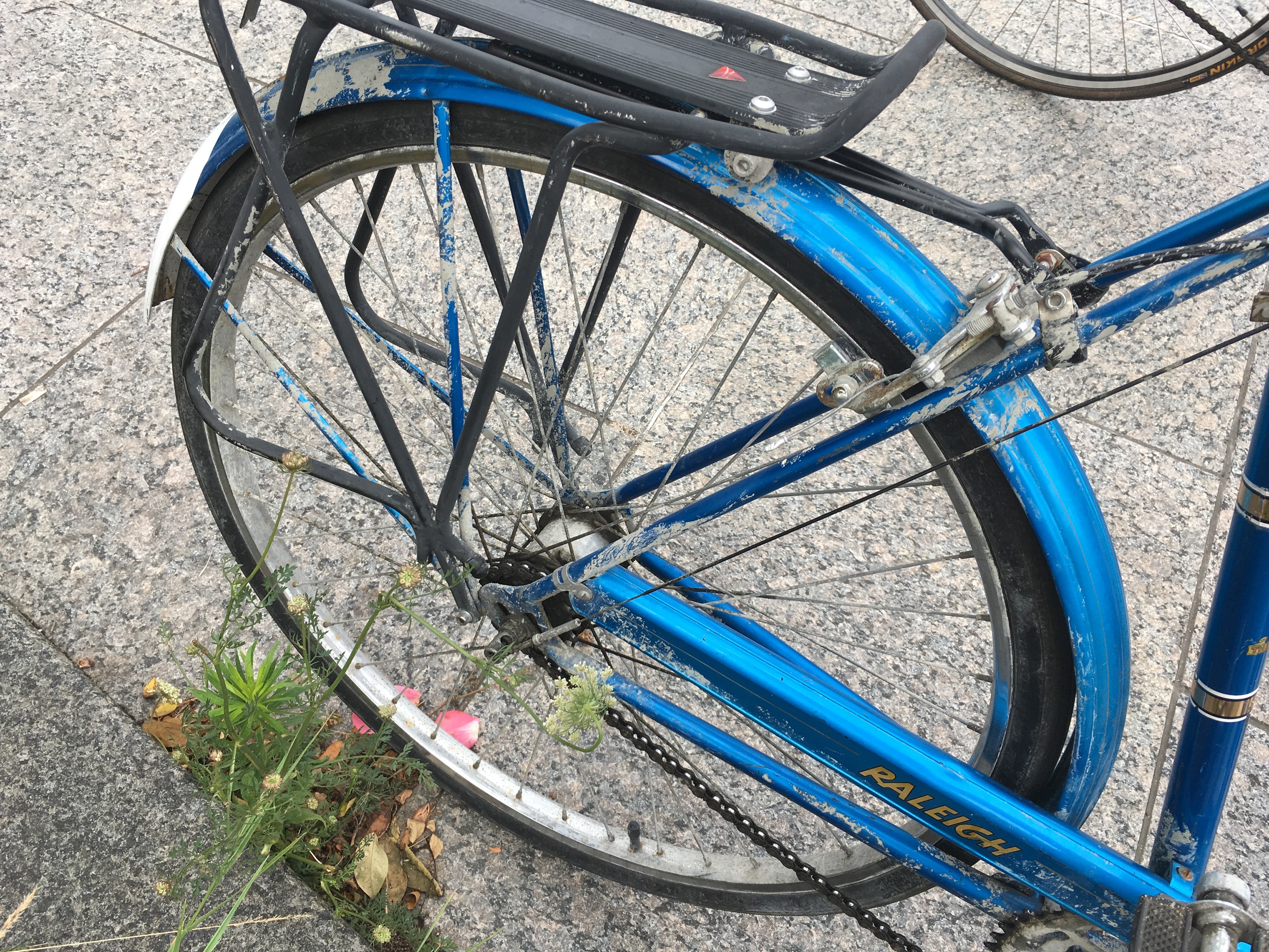 1970 Raleigh LTD 3