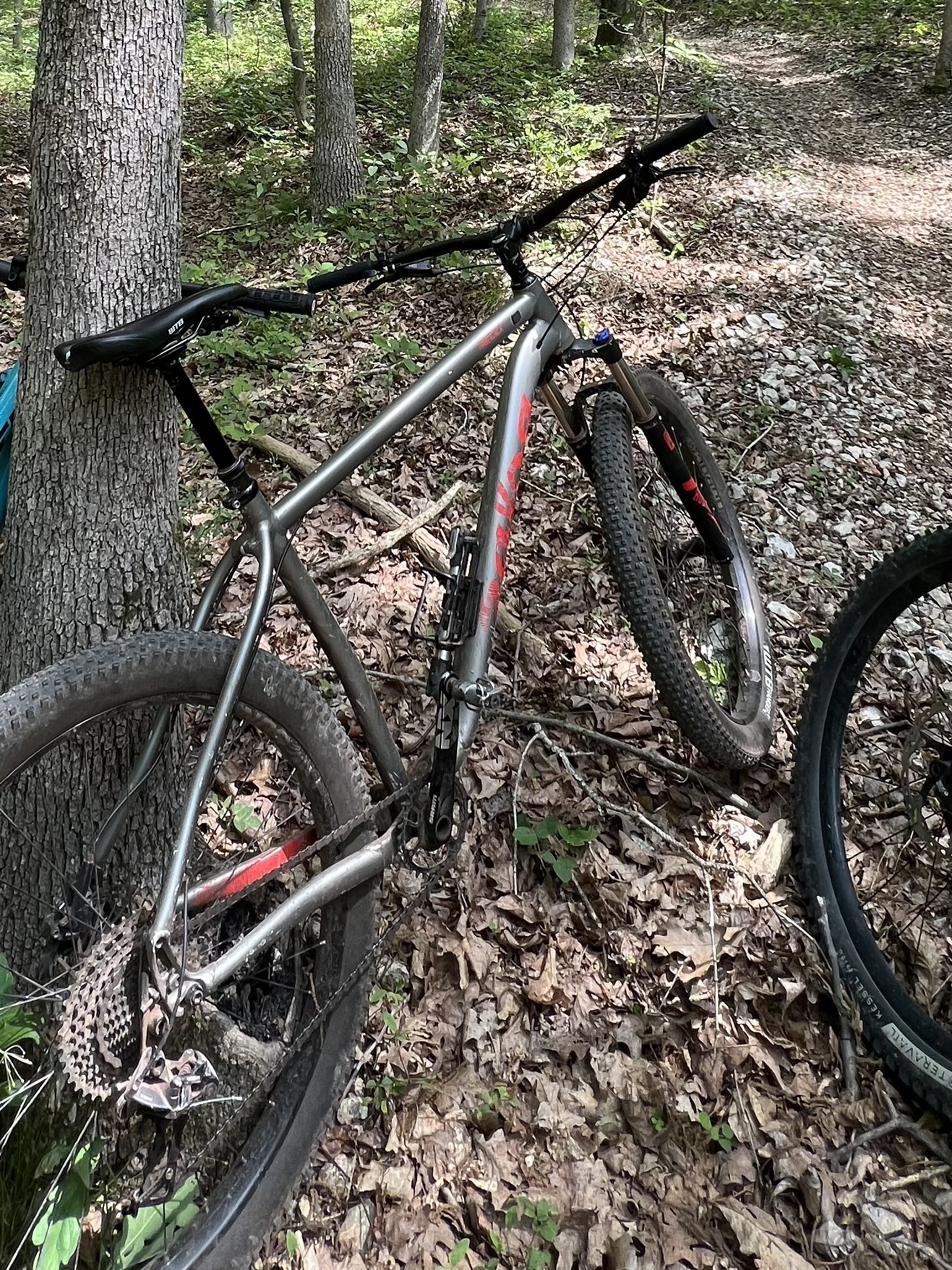 Stolen 2018 Salsa Timberjack
