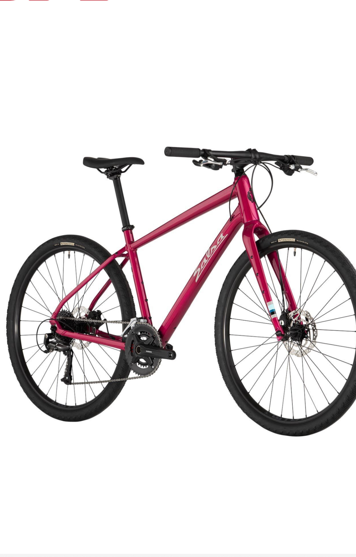 Stolen 2024 Salsa Journeyer