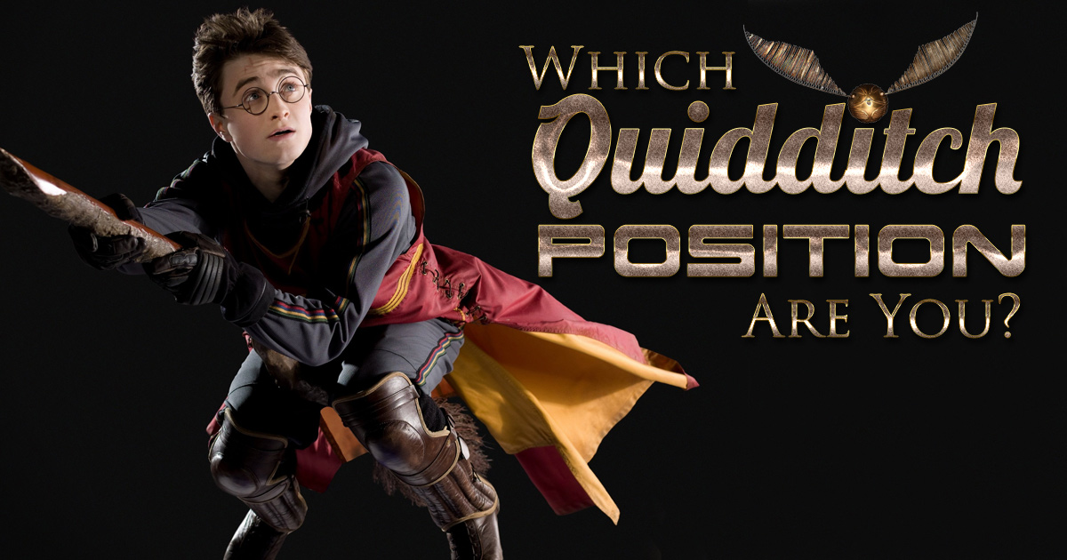 Which Quidditch Position Are You? BrainFall