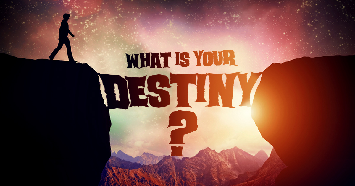 What Is Your Destiny? BrainFall