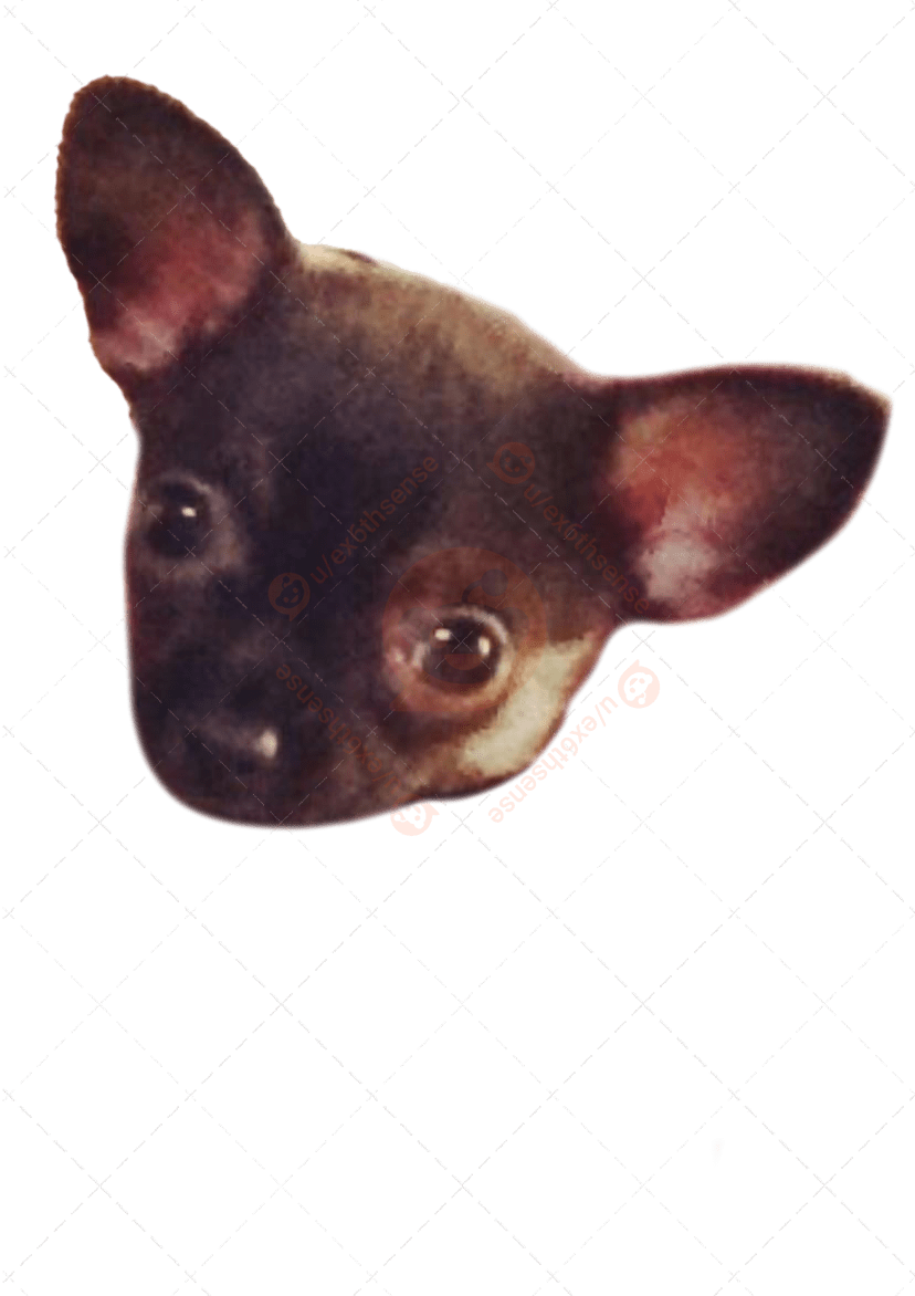 My dog just passed away and I want to make a sticker/keychain of her