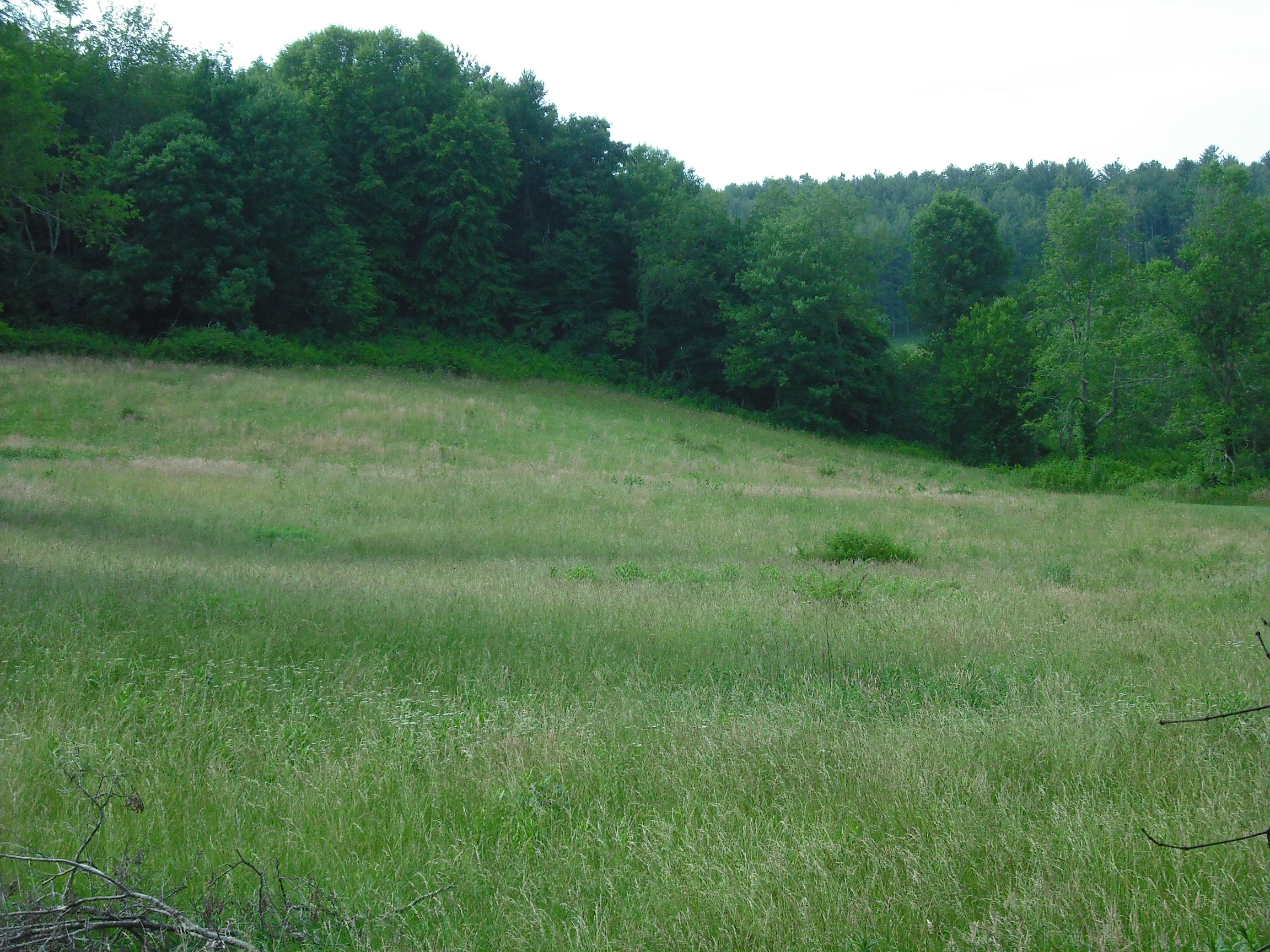 Virginia Mountain Land Oak Hill Farm Lot 1 Land for Sale by Owner in
