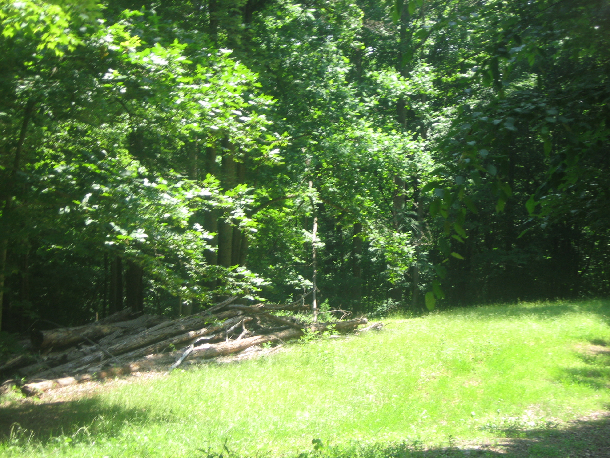 Philpott Lake Retreat 1