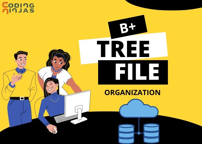 B+ tree file organization Coding Ninjas