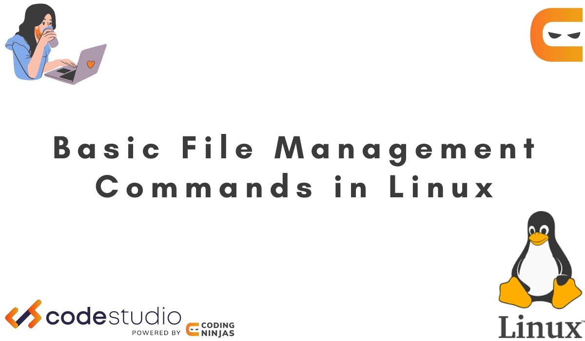 file management commands Coding Ninjas