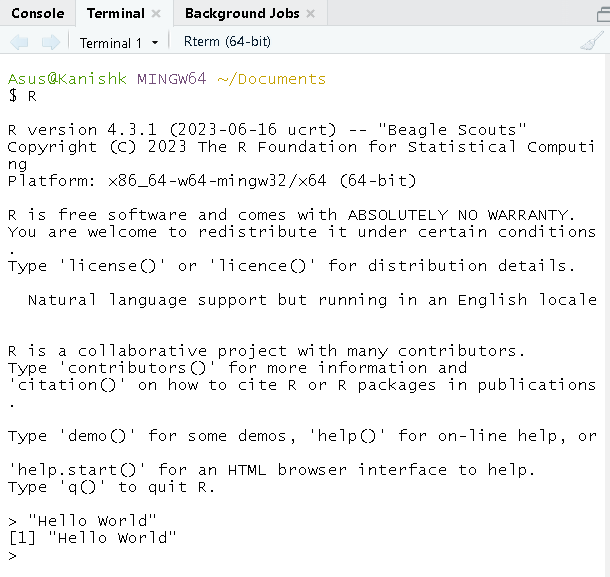Basic syntax of R programming Language Coding Ninjas