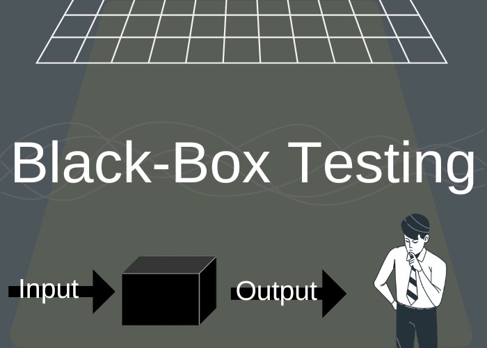 BlackBox Testing Coding Ninjas