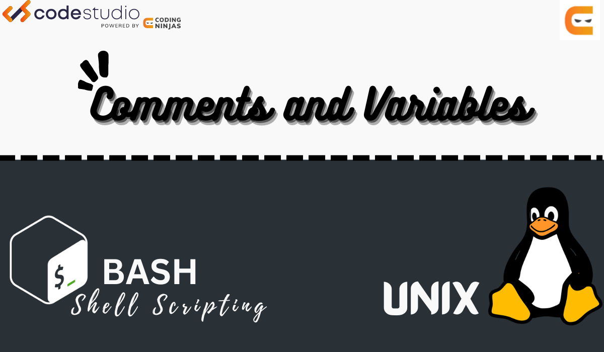 Comments And Variables in Shell Scripting Coding Ninjas