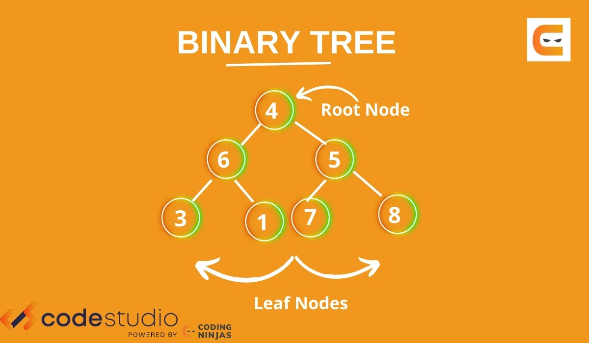 Binary Tree Naukri Code 360