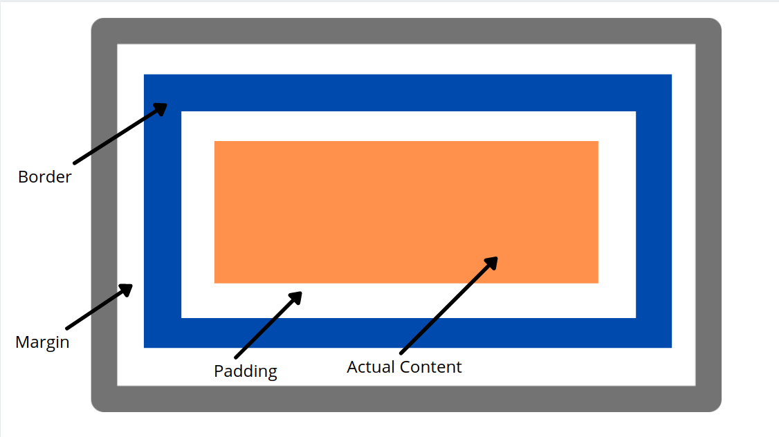 CSS Box Model Coding Ninjas