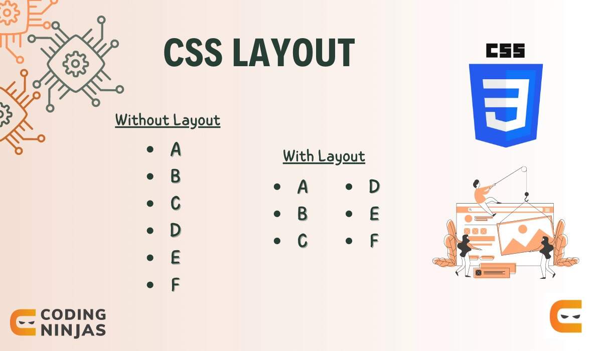 CSS Layout Coding Ninjas