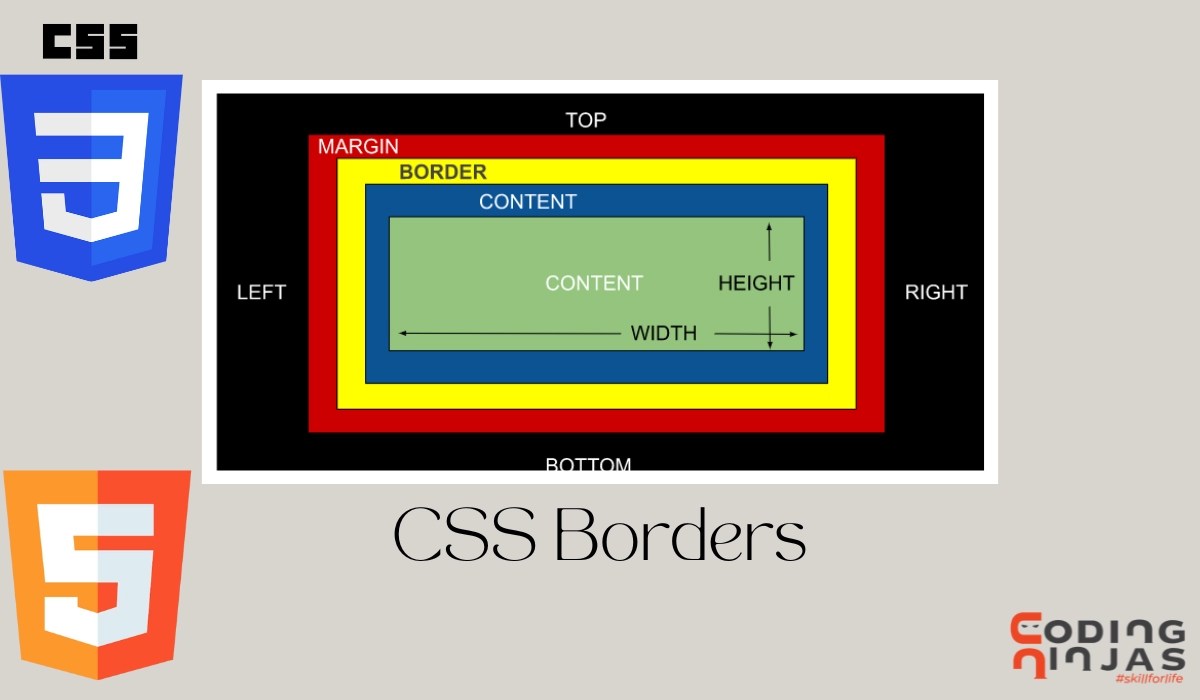 Border Coding Ninjas