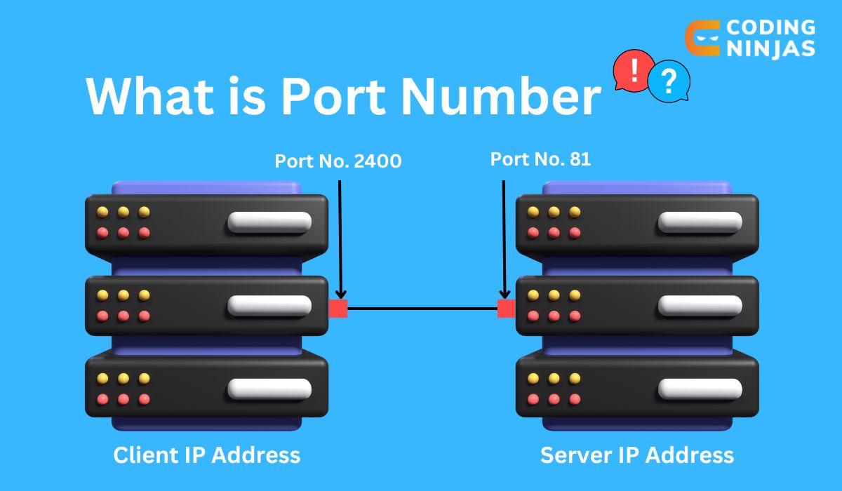 What is Port Number? Naukri Code 360