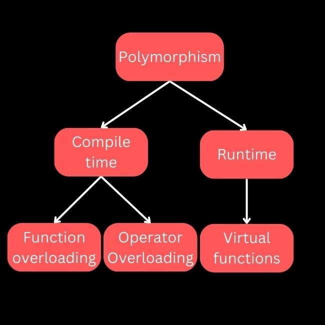 Polymorphic Functions in Compiler Design Coding Ninjas