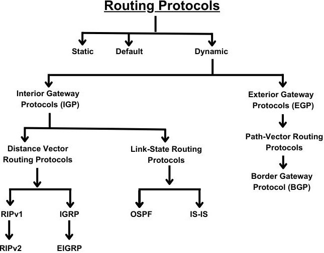 Routing Protocols Coding Ninjas