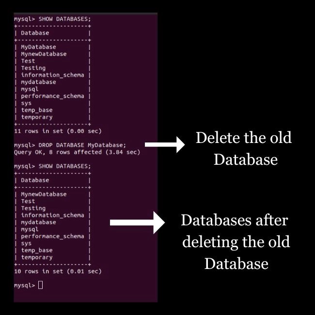 Rename Database in MySQL Coding Ninjas